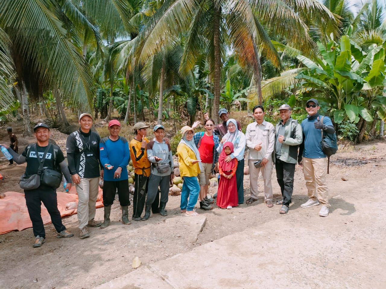 Tim Jejak Petualang Trans7 Liput Panen Kelapa di Desa Pemusiran